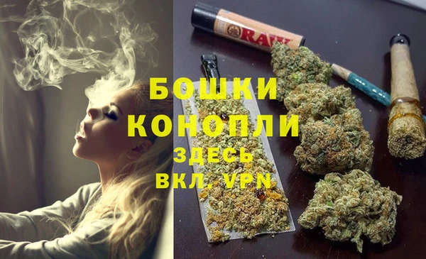 ГАЛЛЮЦИНОГЕННЫЕ ГРИБЫ Кулебаки
