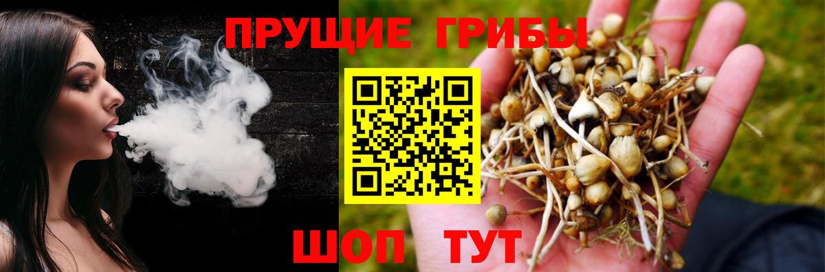 Углич  Галлюциногенные грибы MAGIC MUSHROOMS  Вход с VPN 